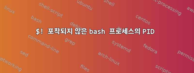 $! 포착되지 않은 bash 프로세스의 PID