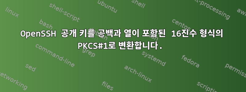 OpenSSH 공개 키를 공백과 열이 포함된 16진수 형식의 PKCS#1로 변환합니다.