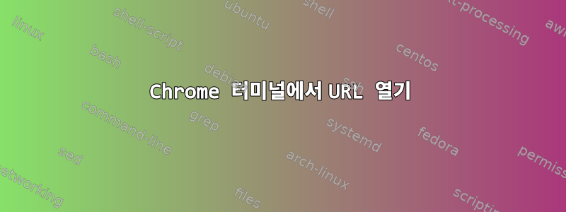 Chrome 터미널에서 URL 열기