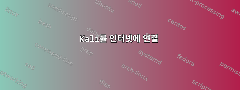 Kali를 인터넷에 연결