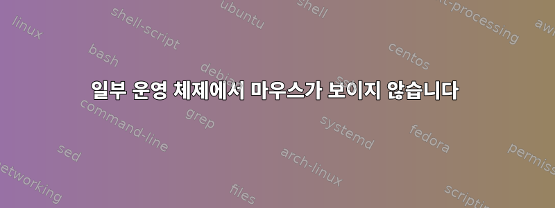 일부 운영 체제에서 마우스가 보이지 않습니다