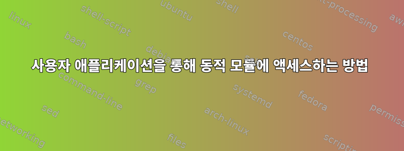 사용자 애플리케이션을 통해 동적 모듈에 액세스하는 방법