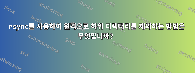 rsync를 사용하여 원격으로 하위 디렉터리를 제외하는 방법은 무엇입니까?