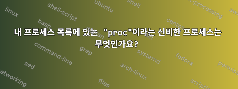 내 프로세스 목록에 있는 "proc"이라는 신비한 프로세스는 무엇인가요?