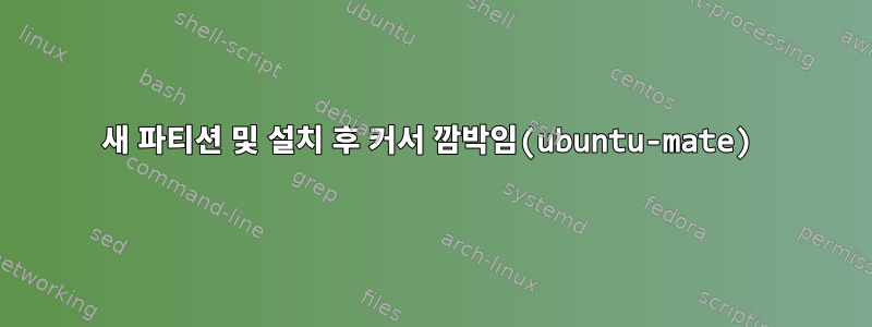 새 파티션 및 설치 후 커서 깜박임(ubuntu-mate)