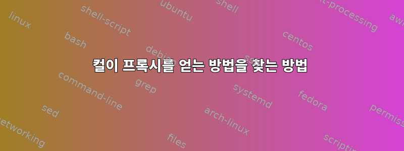 컬이 프록시를 얻는 방법을 찾는 방법