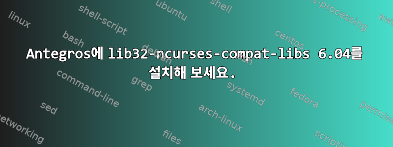 Antegros에 lib32-ncurses-compat-libs 6.04를 설치해 보세요.