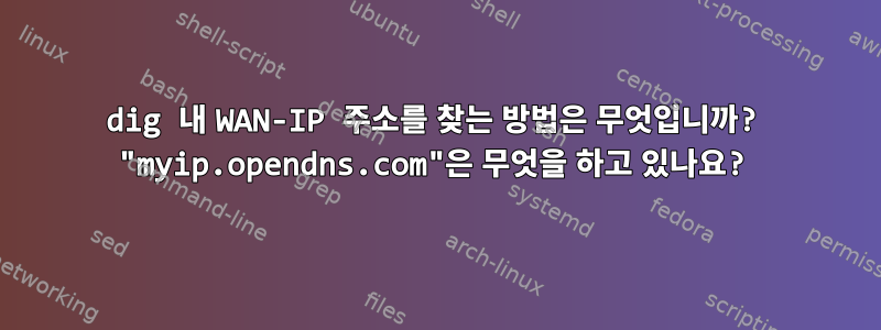 dig 내 WAN-IP 주소를 찾는 방법은 무엇입니까? "myip.opendns.com"은 무엇을 하고 있나요?