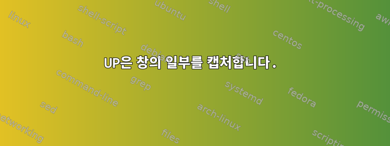 UP은 창의 일부를 캡처합니다.