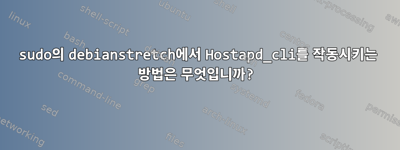 sudo의 debianstretch에서 Hostapd_cli를 작동시키는 방법은 무엇입니까?