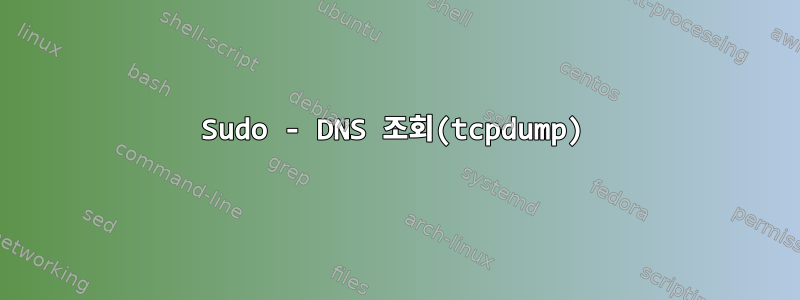 Sudo - DNS 조회(tcpdump)