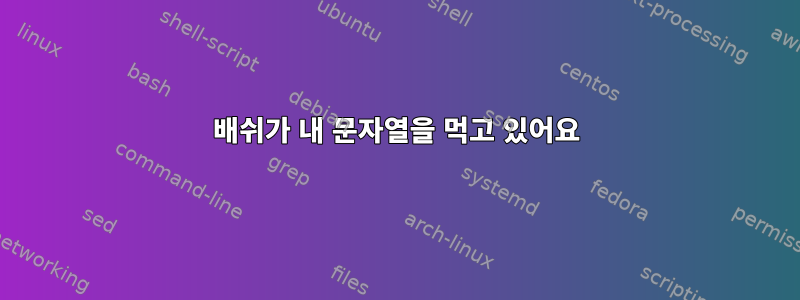 배쉬가 내 문자열을 먹고 있어요