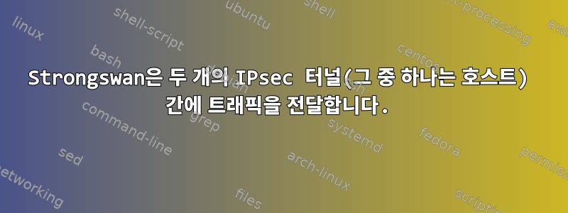 Strongswan은 두 개의 IPsec 터널(그 중 하나는 호스트) 간에 트래픽을 전달합니다.