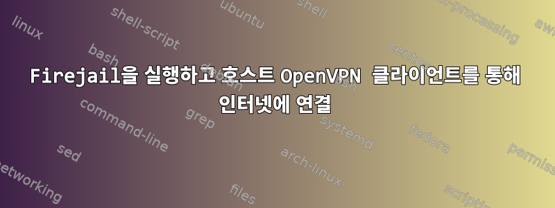 Firejail을 실행하고 호스트 OpenVPN 클라이언트를 통해 인터넷에 연결