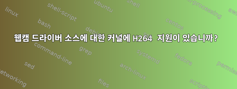 웹캠 드라이버 소스에 대한 커널에 H264 지원이 있습니까?