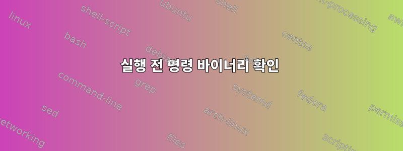 실행 전 명령 바이너리 확인