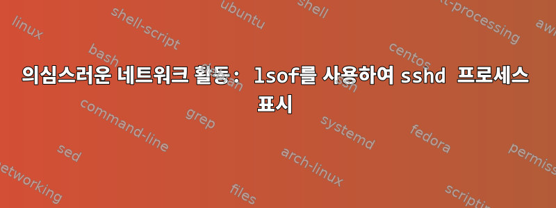 의심스러운 네트워크 활동: lsof를 사용하여 sshd 프로세스 표시