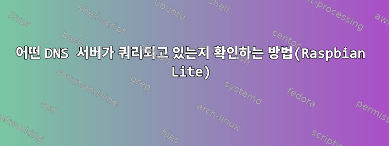 어떤 DNS 서버가 쿼리되고 있는지 확인하는 방법(Raspbian Lite)