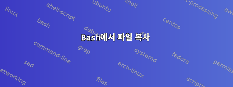 Bash에서 파일 복사