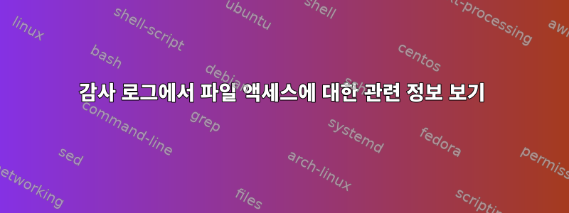 감사 로그에서 파일 액세스에 대한 관련 정보 보기