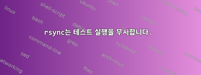 rsync는 테스트 실행을 무시합니다.