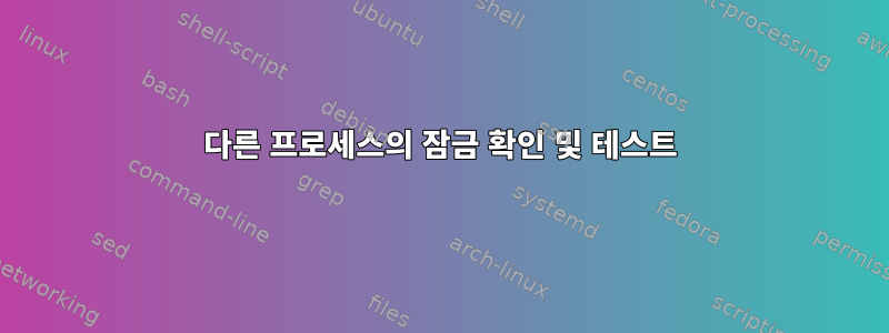 다른 프로세스의 잠금 확인 및 테스트