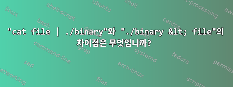 "cat file | ./binary"와 "./binary &lt; file"의 차이점은 무엇입니까?