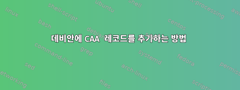 데비안에 CAA 레코드를 추가하는 방법