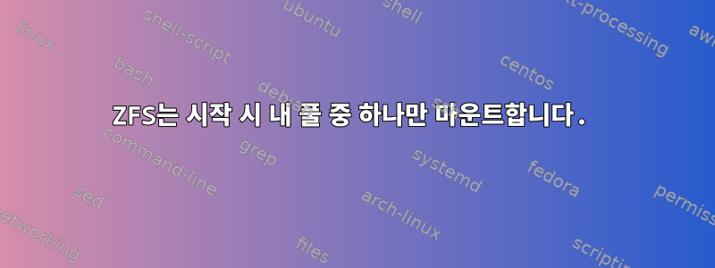 ZFS는 시작 시 내 풀 중 하나만 마운트합니다.