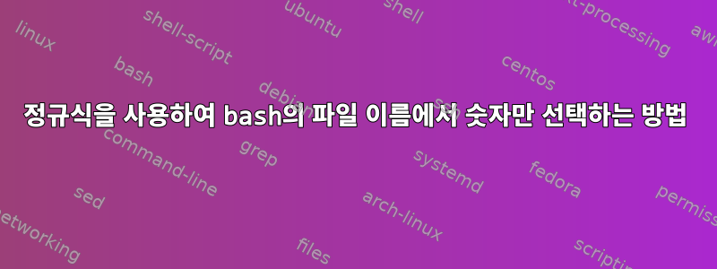 정규식을 사용하여 bash의 파일 이름에서 숫자만 선택하는 방법