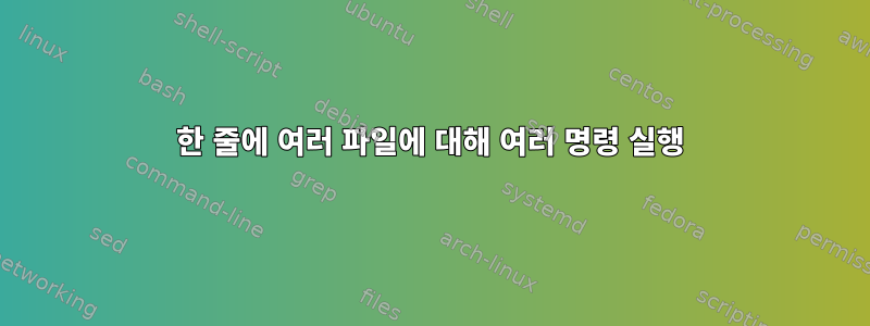 한 줄에 여러 파일에 대해 여러 명령 실행