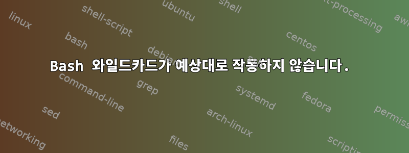 Bash 와일드카드가 예상대로 작동하지 않습니다.