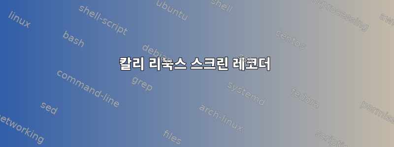 칼리 리눅스 스크린 레코더