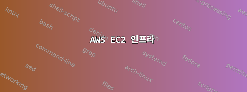 AWS EC2 인프라