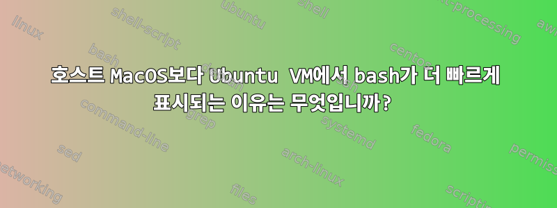 호스트 MacOS보다 Ubuntu VM에서 bash가 더 빠르게 표시되는 이유는 무엇입니까?