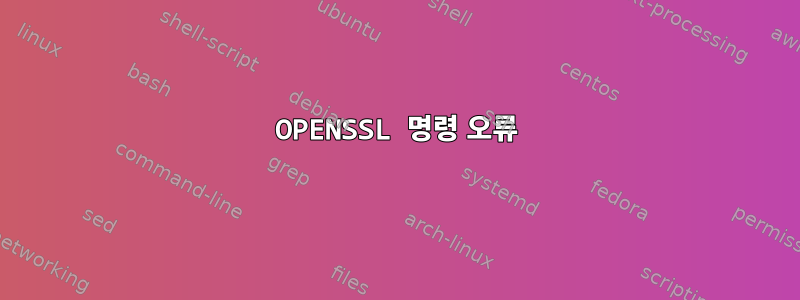 OPENSSL 명령 오류