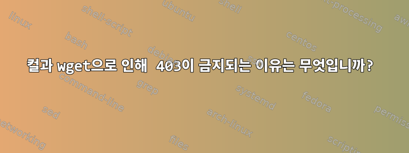 컬과 wget으로 인해 403이 금지되는 이유는 무엇입니까?