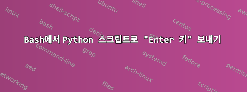 Bash에서 Python 스크립트로 "Enter 키" 보내기