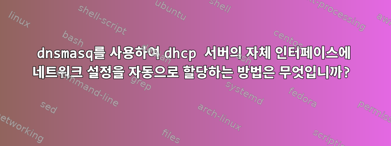 dnsmasq를 사용하여 dhcp 서버의 자체 인터페이스에 네트워크 설정을 자동으로 할당하는 방법은 무엇입니까?