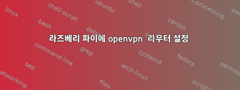 라즈베리 파이에 openvpn 라우터 설정