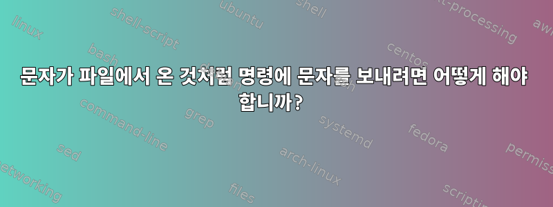 문자가 파일에서 온 것처럼 명령에 문자를 보내려면 어떻게 해야 합니까?