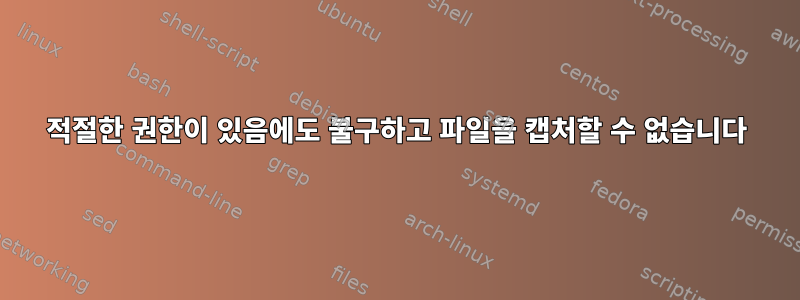 적절한 권한이 있음에도 불구하고 파일을 캡처할 수 없습니다