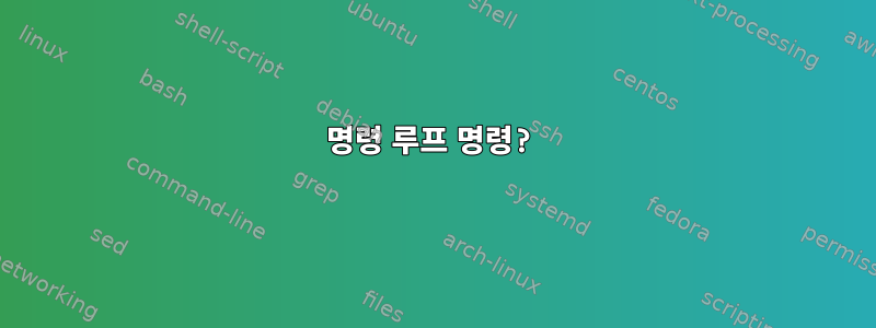 명령 루프 명령?