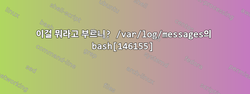 이걸 뭐라고 부르니? /var/log/messages의 bash[146155]