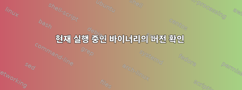 현재 실행 중인 바이너리의 버전 확인