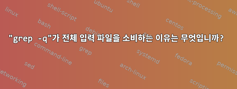 "grep -q"가 전체 입력 파일을 소비하는 이유는 무엇입니까?