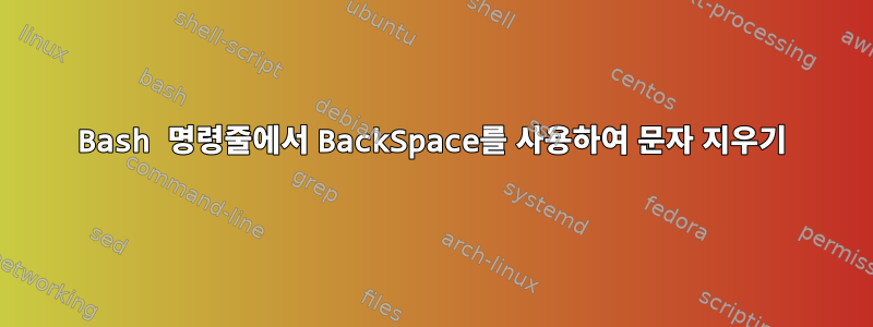 Bash 명령줄에서 BackSpace를 사용하여 문자 지우기