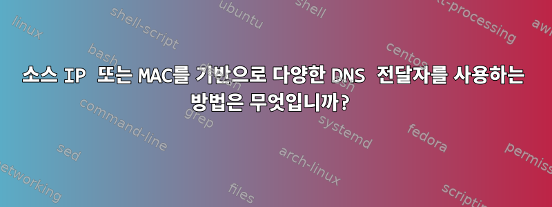 소스 IP 또는 MAC를 기반으로 다양한 DNS 전달자를 사용하는 방법은 무엇입니까?