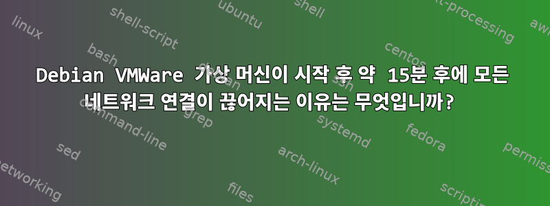 Debian VMWare 가상 머신이 시작 후 약 15분 후에 모든 네트워크 연결이 끊어지는 이유는 무엇입니까?