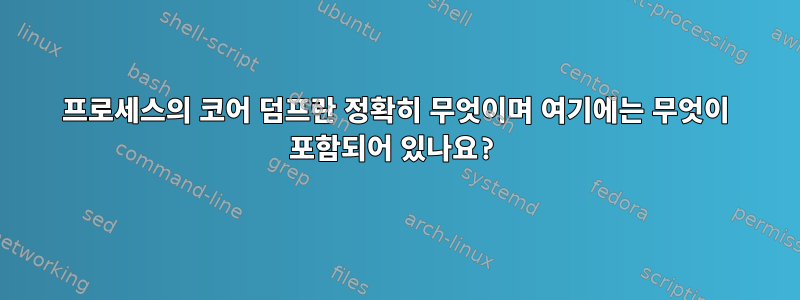 프로세스의 코어 덤프란 정확히 무엇이며 여기에는 무엇이 포함되어 있나요?